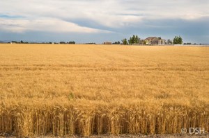 DSH-Road Trip & Clouds-0257