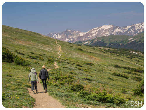 Ute Trail - looking West