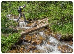 Stream Crossing